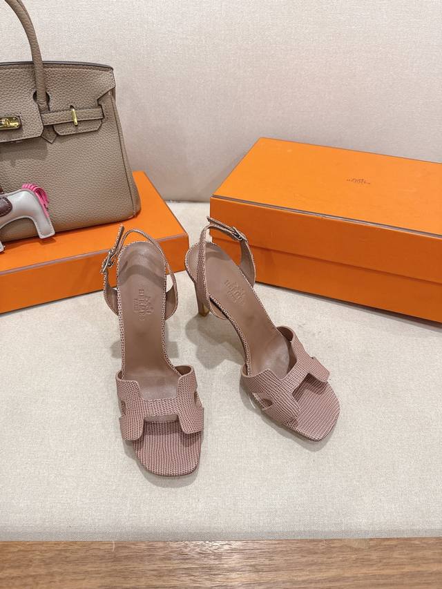 Latest Colorway Lizard Print Series