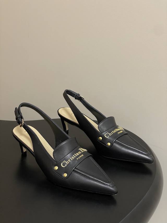 25Ss Early Spring New Arrival Dior D-Boy Hardware Letter Buckle Pointed Toe High