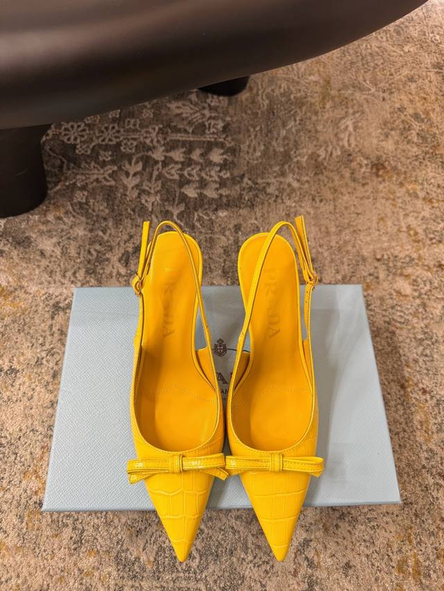 Elegant Single Shoes