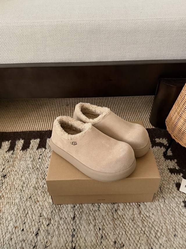 Rapeseed Color Details. Factory Price