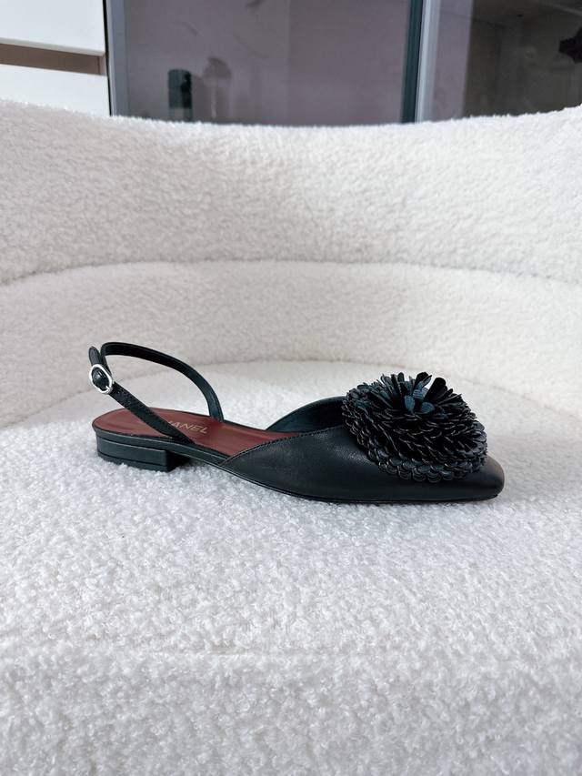 Airplane box + 10 Proxy Purchase Level