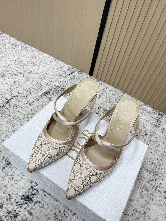 Retailer Grade: Dior 2025 Spring/Summer Capture Collection Pointed Toe Rhineston