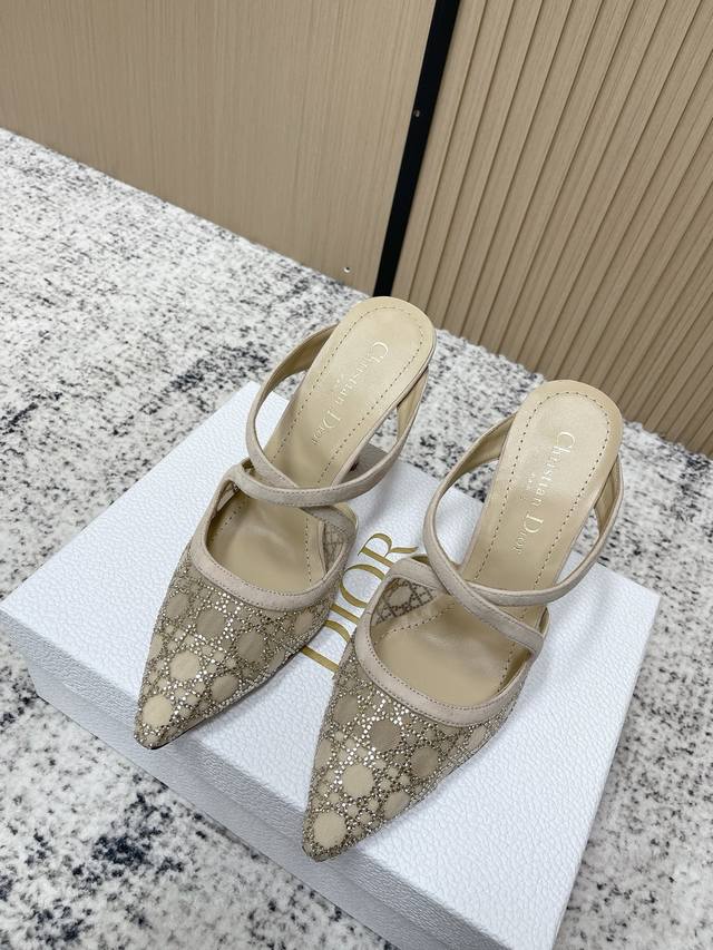 Retailer Grade: Dior 2025 Spring/Summer Capture Collection Pointed Toe Rhineston